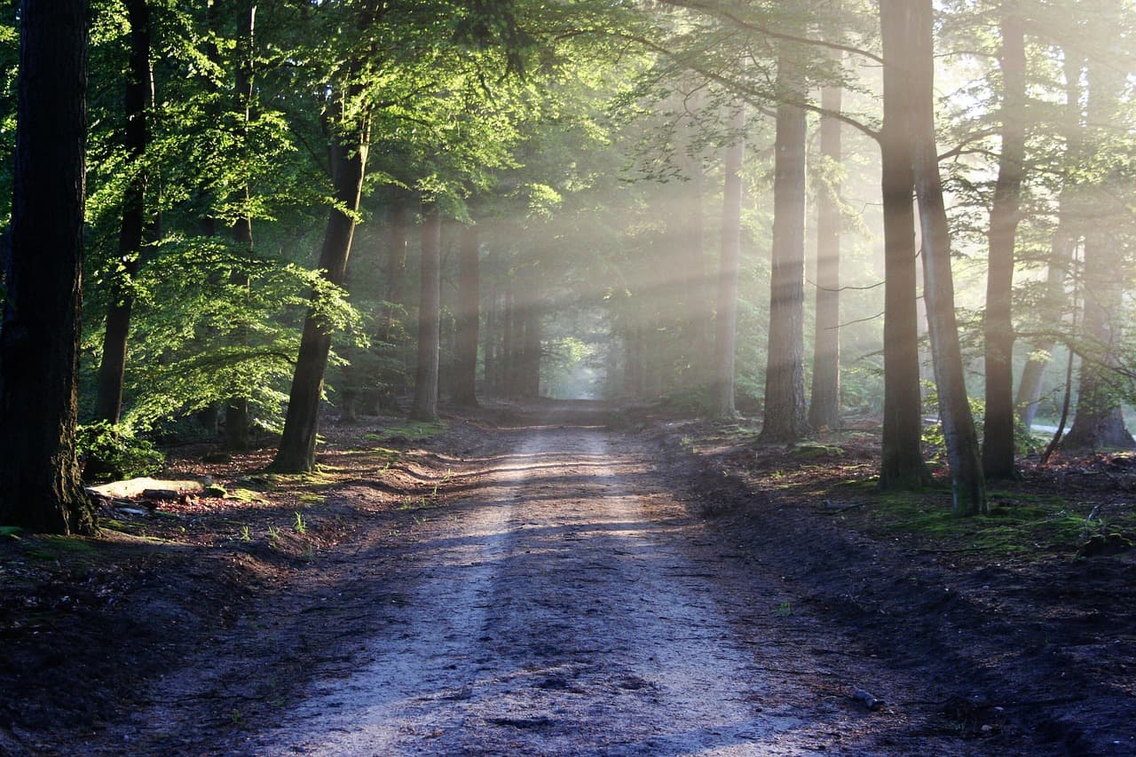 Chemins du Vivant